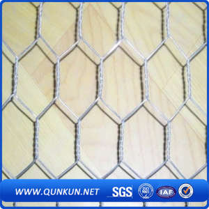 Hot Dipped Galvanized Hexagonal Wire Mesh/Poultry Mesh