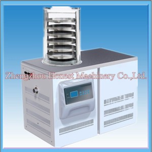 Vacuum Freeze Dryer Easy to Operate