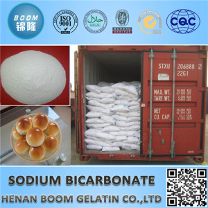 China Gold Supplier 80-120 Mesh Sodium Bicarbonate