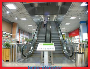 Low Price for Indoor and Outdoor 35 Degree Escalator